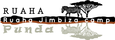 Ruaha Jimbiza Camp